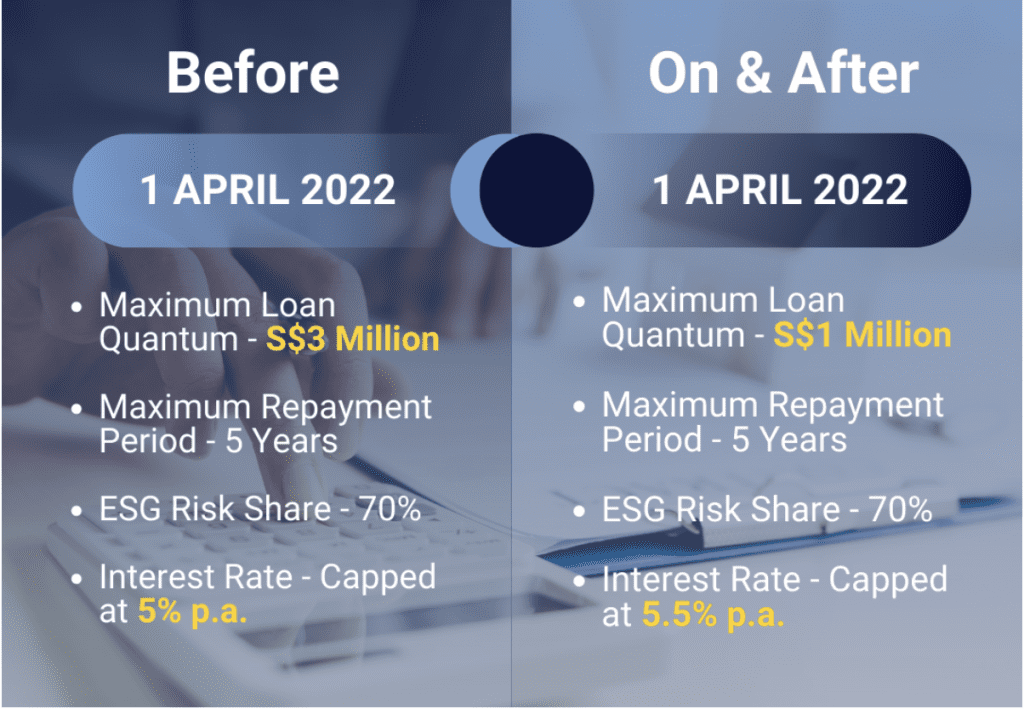 bridging loan programme