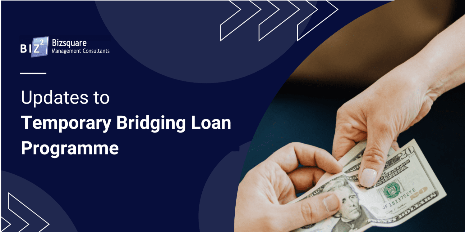 bridging loan programme